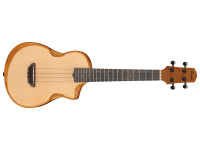 Ibanez AUT10-OPN Ibanez AUT10-OPN